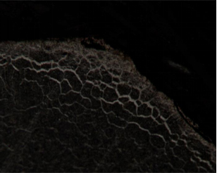 ATTITLED-5